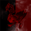 Shooting Ducks Everyday