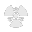 The People's Bank Of China