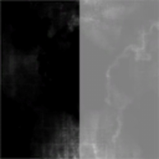 Corporation 12312531