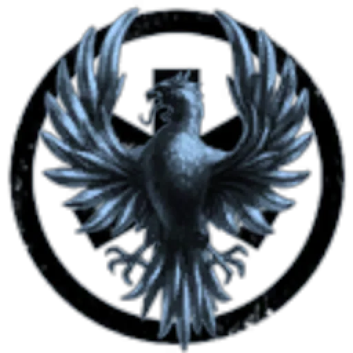 DynamiX Galaktik Inc.