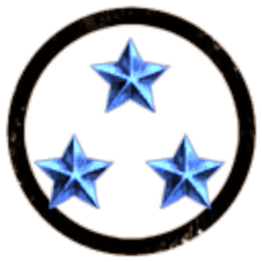 Remote Holdings Inc.