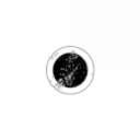 306 Corporation DeepSpace Fighters