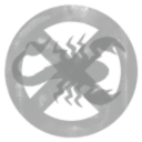 Camponotus vagus Corp.