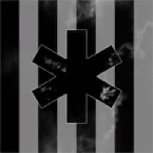 Insitution of Homeless Fish