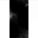 I Worship His Shadow