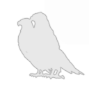 Jiujiang No.1 Middle School