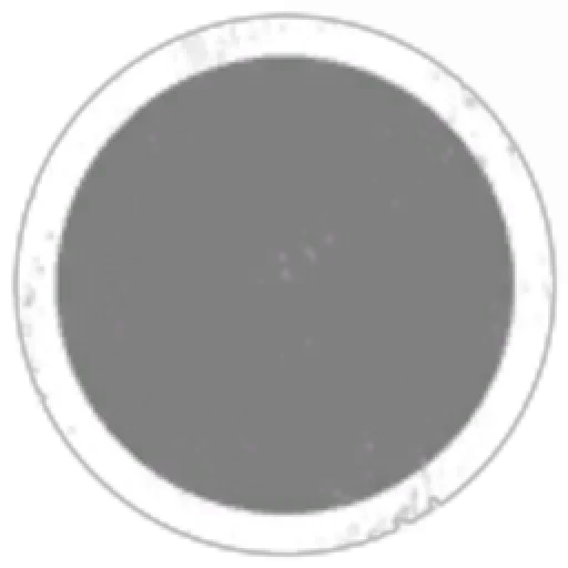 SUNIA Upwell Holdings