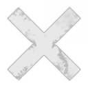 Executive Officer Force