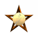 Diplomacy Star