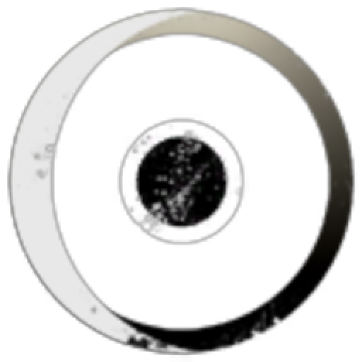 ZoR-Orbital-Recognizance