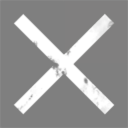 Elon Musk's Witnesses