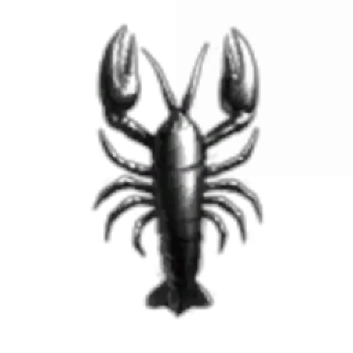 Kitten Kerns Anti Tax