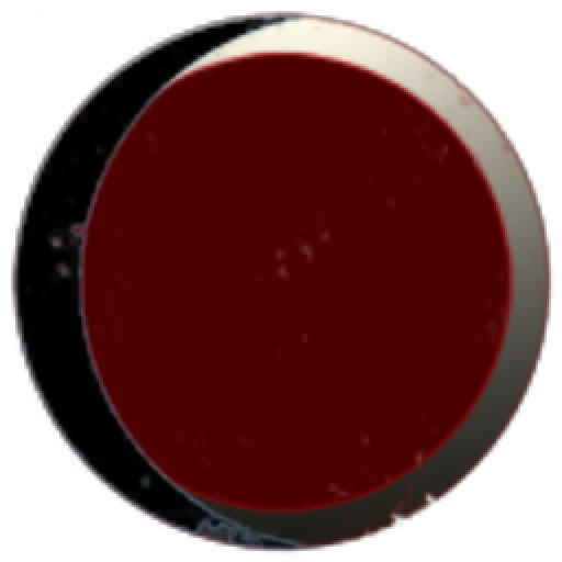 Einstein-Rosenbridge Theory