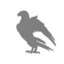 Oort cloud Giant planet