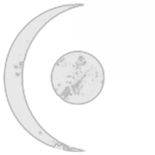 MULTINATIONAL DEFENSE UNION