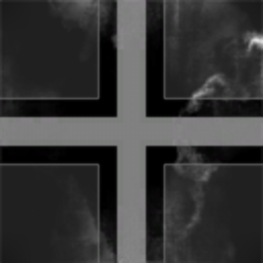 Garden Girls Bingo Party