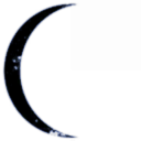 Honey Badger Cooperative