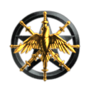 BASIS Border Kisogo Corporation