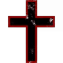 Federation Navy Militia