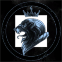 The Search For Rogue Planets