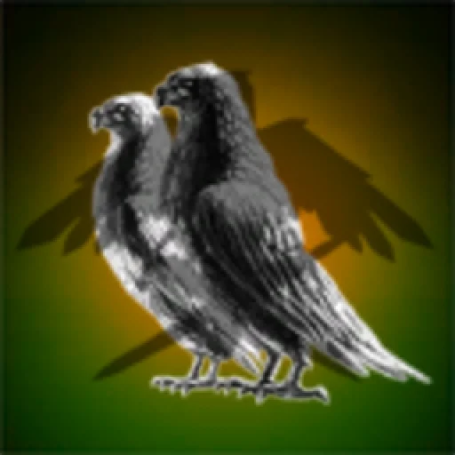 Nobel Birds Corporation