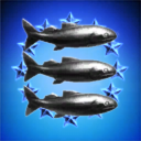 Dolphin Evvacuation Services