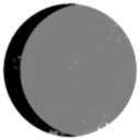 Black Starlight Foundation