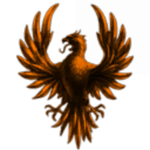 NewDawn Inc