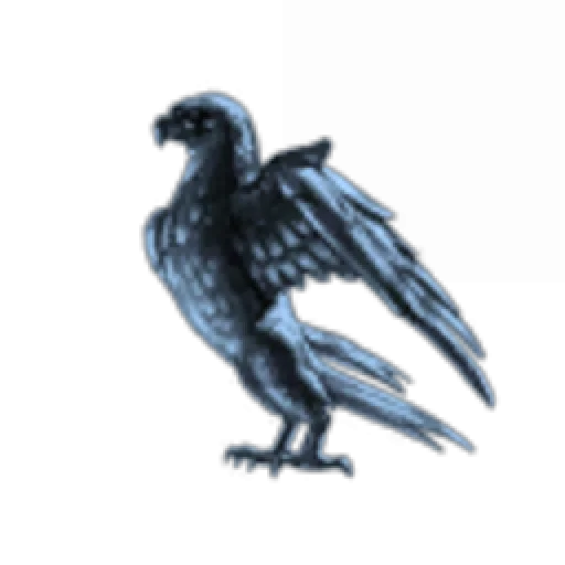 Falcon Eyrie
