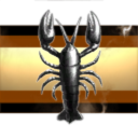 Self Destruction Corparation