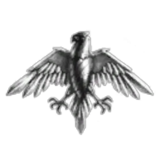 Federacion Aguila Yoya