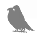 BlackStar Endeavours