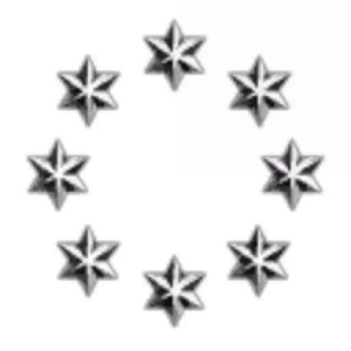 Ember National Guard Force