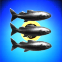 Aunt Typhoon's Little Fish