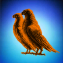 Light of the orangutan