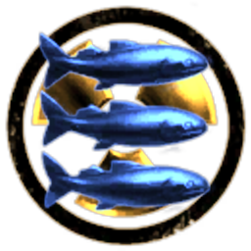 Black Sea Corporation