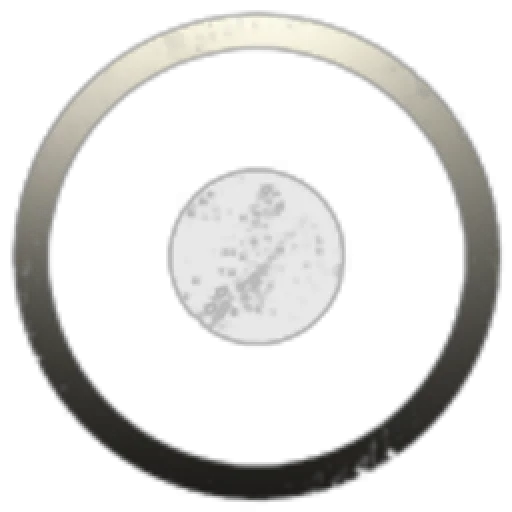 Allen Commodities and Oddities