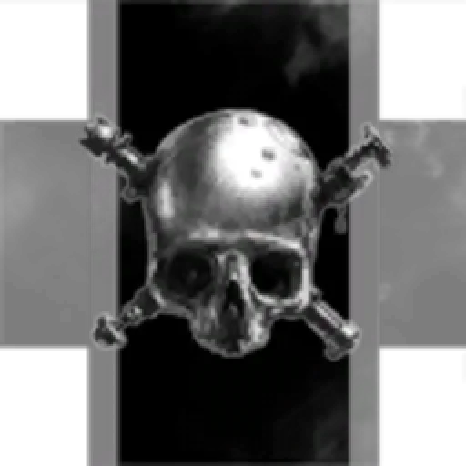 Short Bus Buccaneers