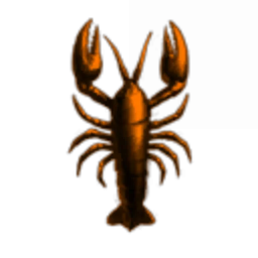 The Order of the Golden Yabby