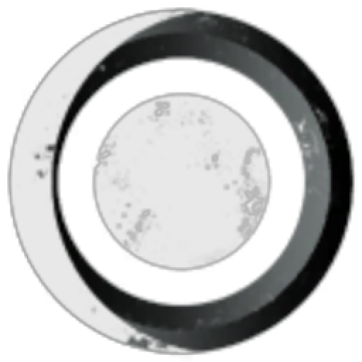 Wholesome Stole Some