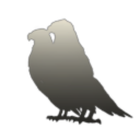 The Cilja Foundation