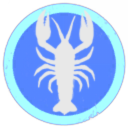 IS THAT A MAN RIDIN' A SHRIMP