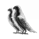 Huginn Imports and Exports