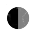 Fibonacci Curried Pizza Industries and Services