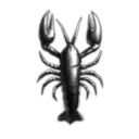 anyone remember that pic of kil2 with the bike lol