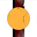 Trash-Murkon Waste Management