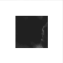 Fat Fish Conglomerate