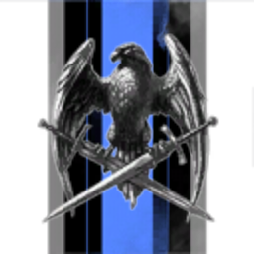 Die Deutschen Divisionen Transport