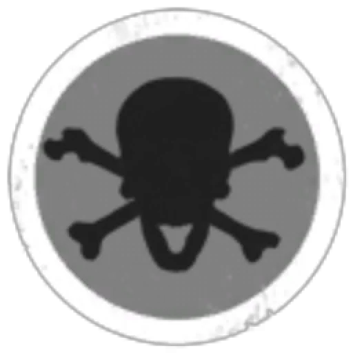 Fat Dragon Pirate Co.