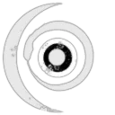 Unicorns Fart Rainbows